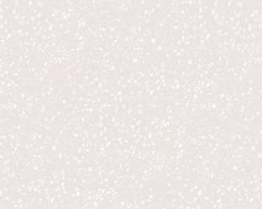 Столешница-постформинг R3 FS040 S1 Баскунчак ELEGANCE 4200х600х38 мм Изображение