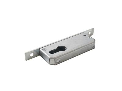 Замок ригельный 50/PZ/F16/25, серебро Изображение 5