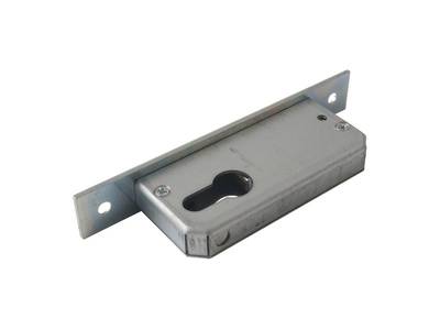Замок ригельный 50/PZ/F24/30, серебро Изображение 5